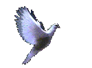 Reliable, Professional and Customer Oriented Web Hosting Service in Pasadena, CA.